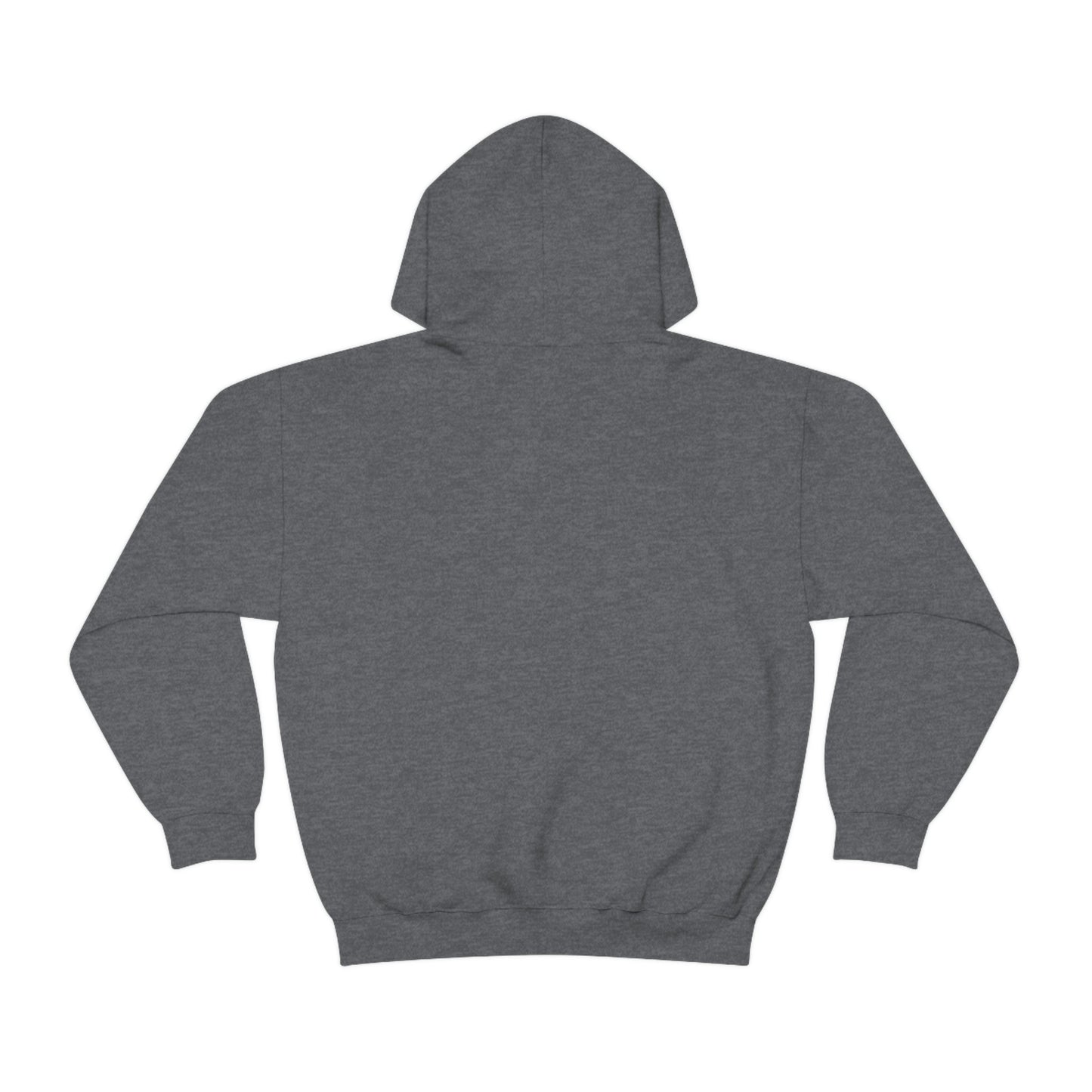 Dark Heather Einstein Unisex Hooded Sweatshirt